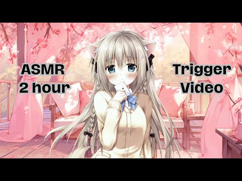 2 Hour Trigger Assortment - KabukiKoi