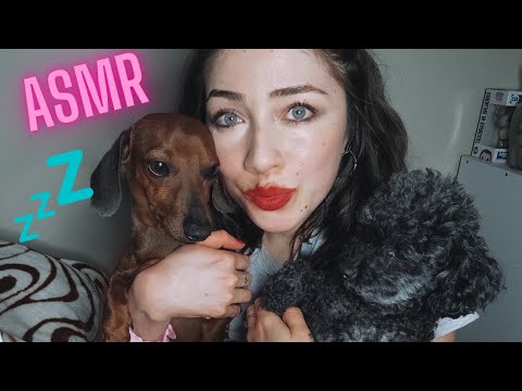 Asmr ARGENTINA🇦🇷 con mis perritos💤😴🐾