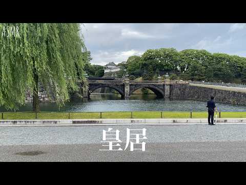 ASMR Walking Around Tokyo Imperial Palace | 皇居周辺を歩く ☔