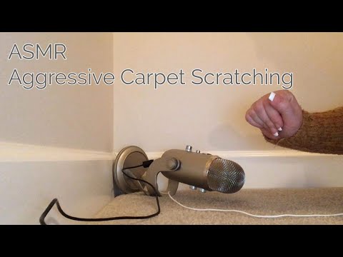 ASMR Aggressive Carpet Scratching