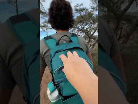 ASMR on an Ocean Hike 🥾🌲🌊 #asmr