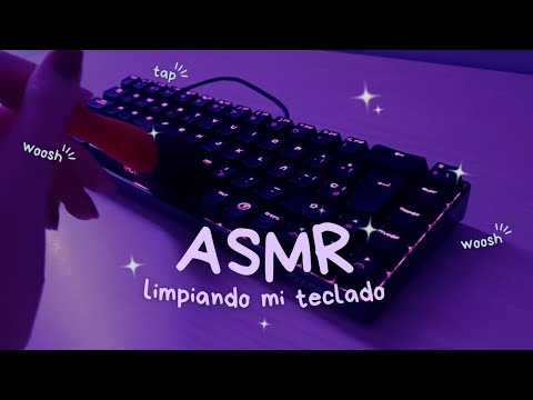 ASMR ✧ BRUSHING y TECLEANDO en mi TECLADO MECÁNICO y ASMR VISUAL [NO TALKING] 🖌️⌨️