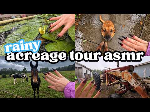 rainy acreage tour asmr 1+ hour mashup