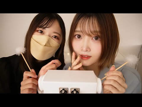 Runa ASMR【るな氏】 - All videos @ The ASMR Index