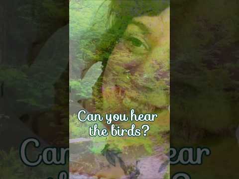 River walk personal attention ASMR #asmr #personalattention #relax #meditation #deepsleep