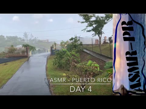 Relaxing Rain ASMR from Puerto Rico | Daytime Water Dripping Ambience