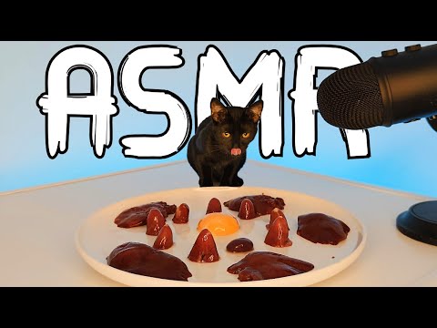 ASMR Mukbang: Cat Eating Raw Food in Satisfying Sound 😻🍽️