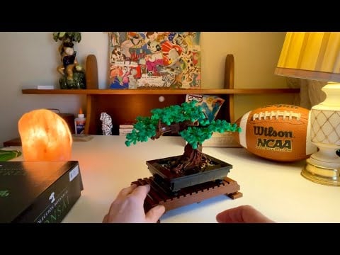 Building a Lego Bonsai Tree Botanical Collection ~ ASMR Soft Spoken to Whisper