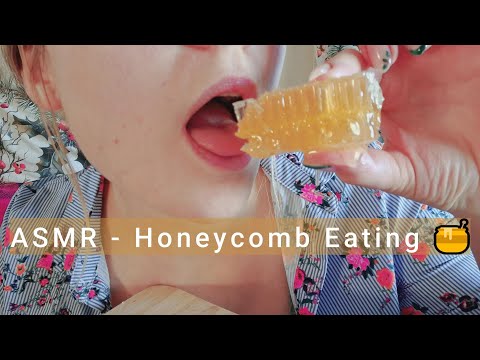 ASMR - Honeycomb Eating 🍯