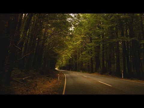 [ASMR] Binaural Creepypasta: The Coral Ridge Bypass