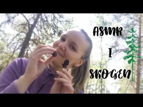 ASMR I Skogen - Fast tapping & scratching på svenska (Lo-Fi) 🌲🪵☀️