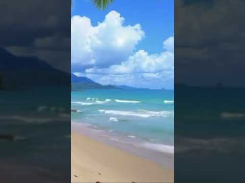 Relaxing Sounds #shortvideo #relaxingsounds