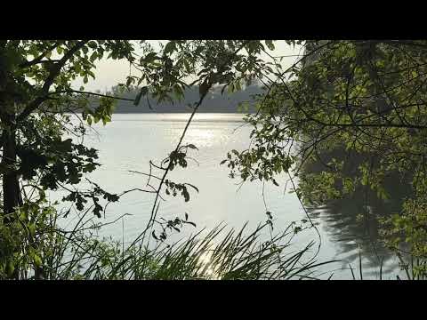 Asmr ~ Come on a relaxing nature walk with me