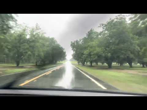 ASMR - 10 MINUTES SLEEPY RAIN CAR RIDE