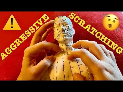 ASMR|⚠️FAST AGGRESSIVE SCRATCHING FULL BODY ON ACUPUNCTURE DOLL. BODY PARTS ENGLISH & ITALIAN!🇺🇸🇮🇹