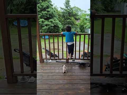 NOT asmr! Tristen and his Doggy