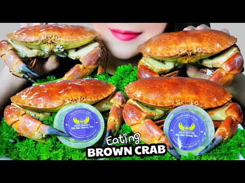 ASMR NORTHERLY SEA BASIN BROWN CRAB EATING SOUNDS | LINH-ASMR