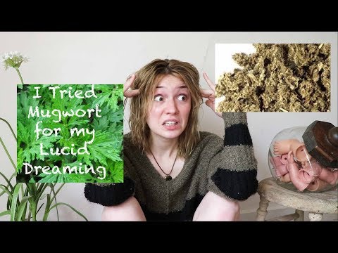 I Tried Mugwort for my Lucid Dreaming