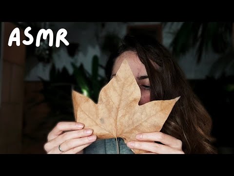 ASMR con objetos del suelo en un dia de LLUVIA #retoasmreco en ESPAÑOL