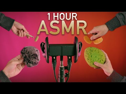 1HR ASMR NEURAL TINGLE BLISS - Trigger Assortment for Relaxation, Study & Sleep | 8K60