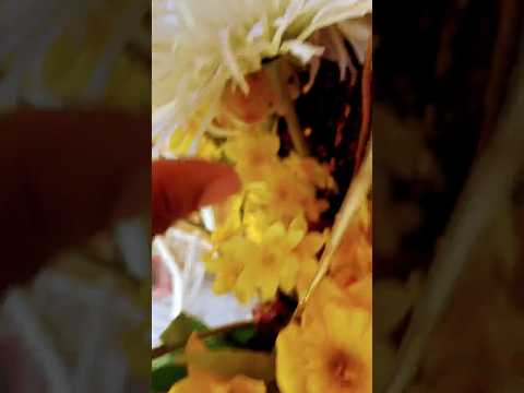 Little short video for y’all😌 #asmr #asmrtapping #asmrtriggers #vintage #flowers