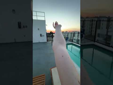 heat wave ASMR at the pool #asmr #lofiasmr #poolasmr #relax #asmrgame #publicasmr