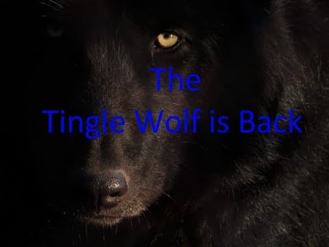 The Tingle Wolf finds you in his cave/furry asmr
