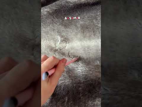 #asmr tracing words in a fluffy blanket, can u guess what I write ?