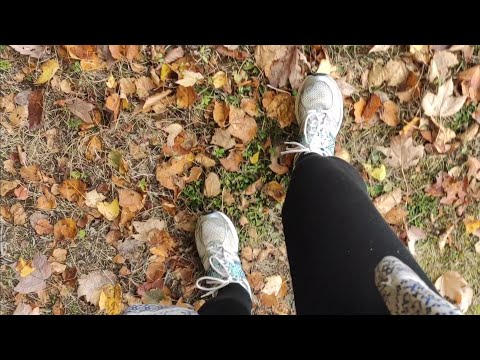 [ASMR] Nature Walk on Crunchy Autumn Leaves🍂~ Cricket & Bird Chirps, Soft Grass Sound, & Crisp Steps