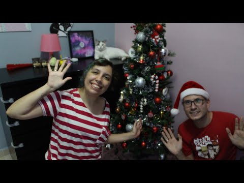 Montando Nossa ÁRVORE DE NATAL!