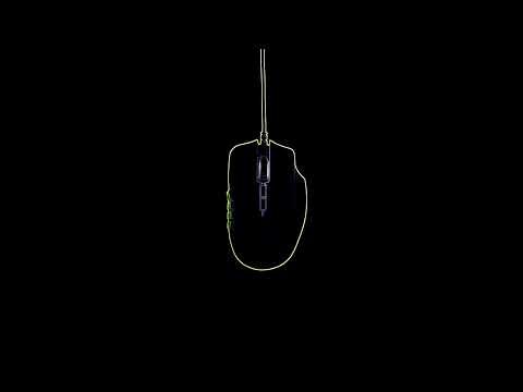 ASMR – 28 Mouse in the house [No talking]
