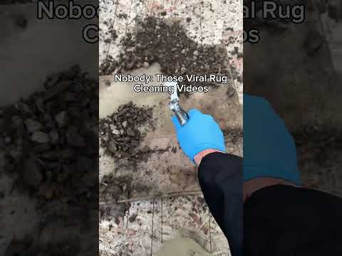 How those viral rug cleaning videos are made… #asmr #fyp #detailing