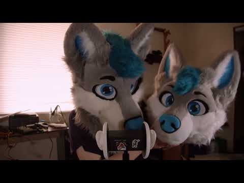 Snowball V2 Unboxing! | Furry ASMR