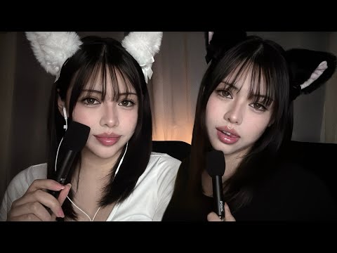 【ASMR】ねっとりマウスサウンドをたっぷり聞かせてあげるにゃ