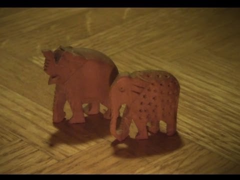 ASMR Sounds: Sandalwood Savanna