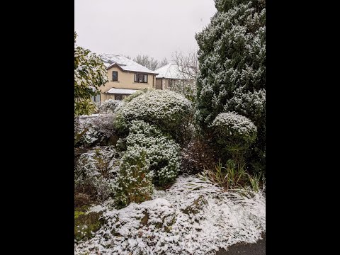 ASMR: First Snow of the Season! ☃️❄️ #Shorts