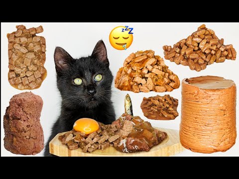 1 Hour | Cat Eating ASMR for Relaxation and Deep Sleep 😴🌙😻