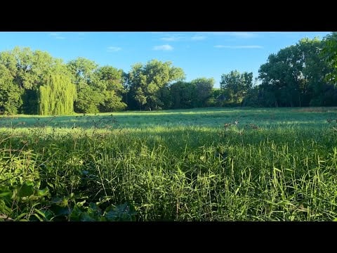 asmr | outside ?! | mouth sounds ! 