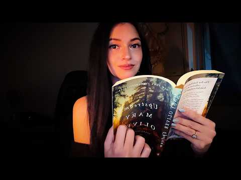 ASMR Você Entrou numa Biblioteca 24h 🕯️ Lareira e Recomendações de livros