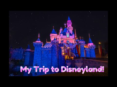 ASMR My Trip to Disneyland! 🏰✨