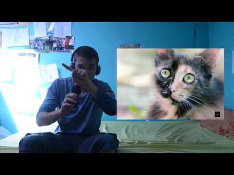 ASMR FR : Les conseils de base
