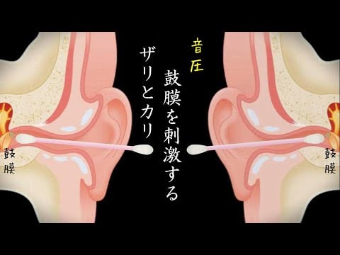 ASMR両耳の鼓膜をシャリシャリとカリカリ刺激する耳掃除｜Deep ear cleaning in both ears