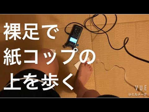 ASMR 紙コップの上を歩く【リクエスト動画 request movie 】