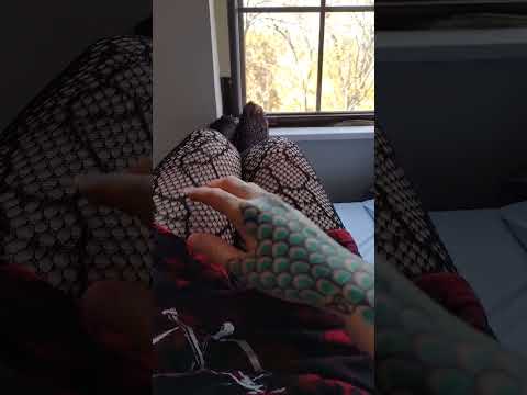 scratching fishnet ASMR