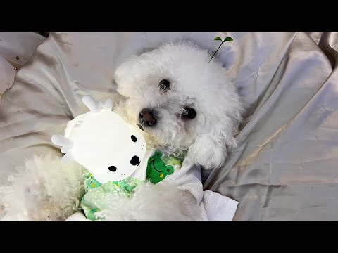 Nighttime routine asmr