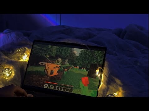 pov you woke up and I’m playing minecraft