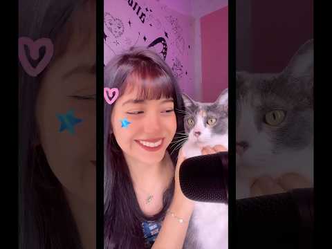 Mi gatita también le sabe al ASMR 💓⭐️ #asmr