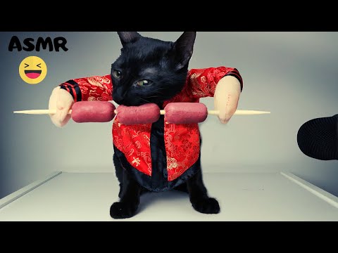 ASMR Cat in Costume eats boiled sausage