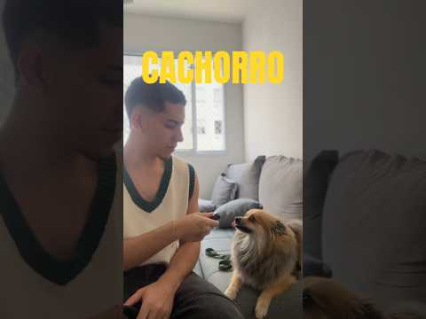 PRIMEIRA VEZ DO MEU CACHORRO NO MEU APARTAMENTO NOVO! #asmr