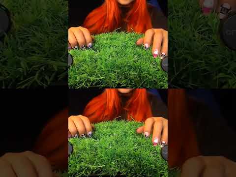 This Sound Is So Satisfying… 😍 | ASMRScratching (No Talking) #tingles #shorts #asmr